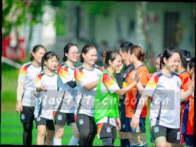 阶梯状牌型优先级图标，从低到高排列